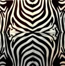 022 Afrikas - 3-lagig - Boon and Bane